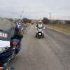2011 - walburg 06